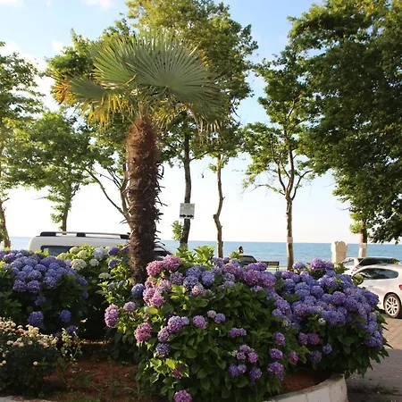Homestay Deniz Yildizi